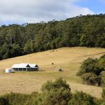 Modern farm house on hill side with trees surrounding it–You may be entitled to claim an exemption for your home!