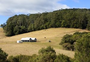Modern farm house on hill side with trees surrounding it–You may be entitled to claim an exemption for your home!